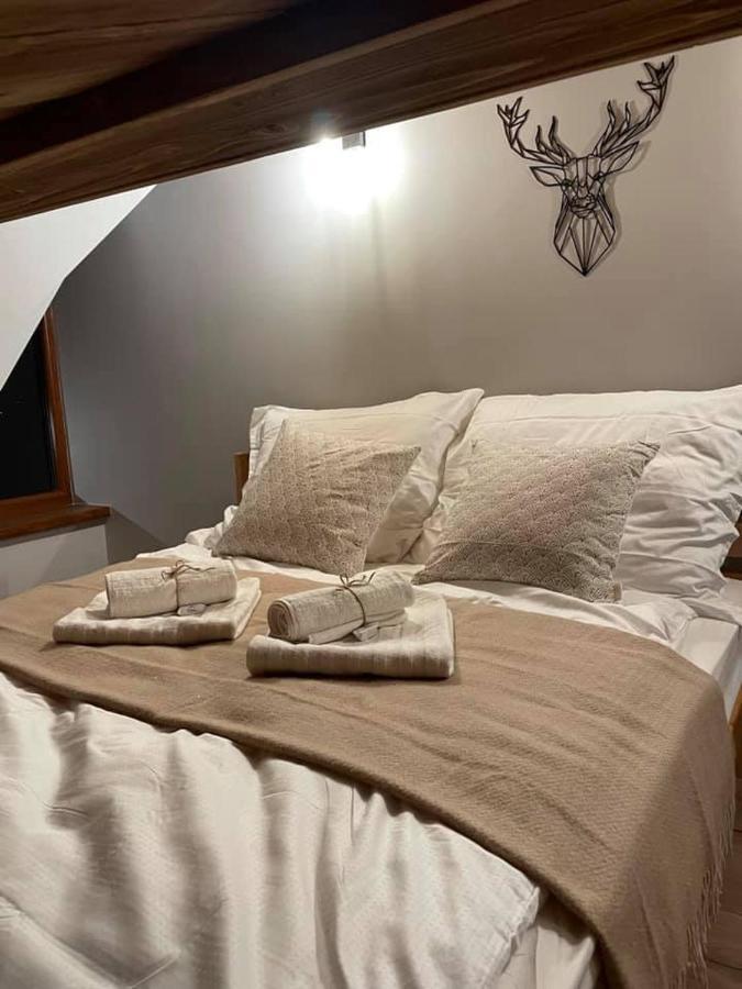 Apartamenty Miejscowka - Apartamenty Z Widokiem Na Gory - Bezplatny Parking 扎科帕内 外观 照片
