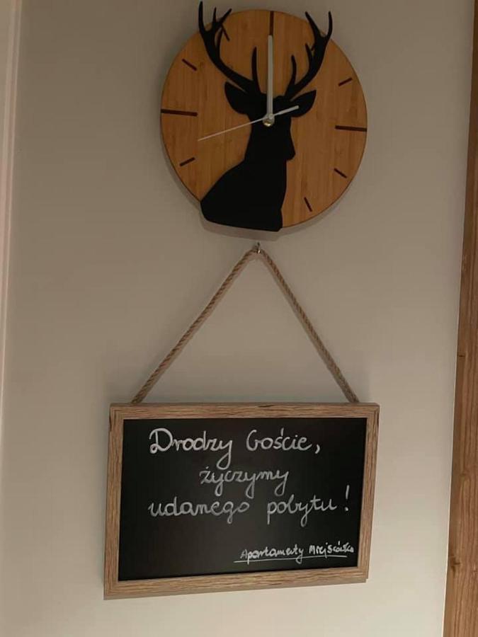 Apartamenty Miejscowka - Apartamenty Z Widokiem Na Gory - Bezplatny Parking 扎科帕内 外观 照片