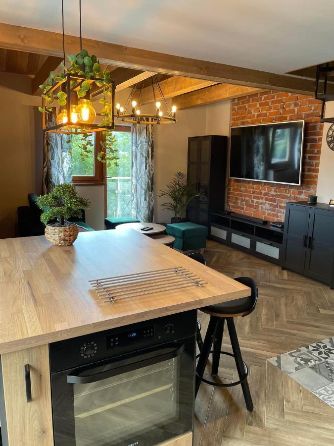 Apartamenty Miejscowka - Apartamenty Z Widokiem Na Gory - Bezplatny Parking 扎科帕内 外观 照片